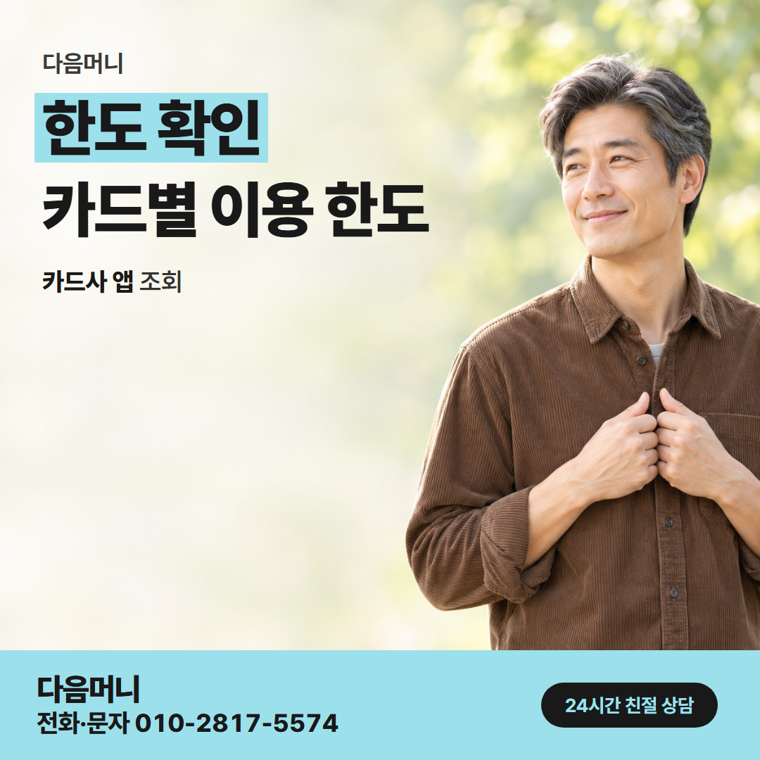 다음머니 진주카드깡 카드사 앱 조회 화면